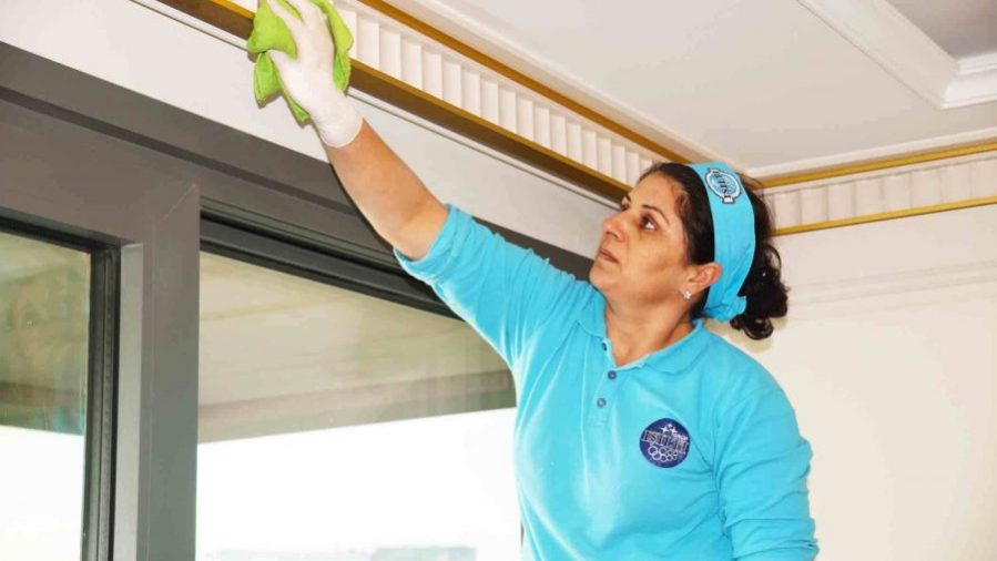 Ev Temizliği Şirketi