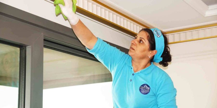 Ev Temizliği Şirketi