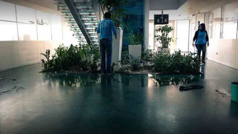 Firma Temizlik Hizmeti