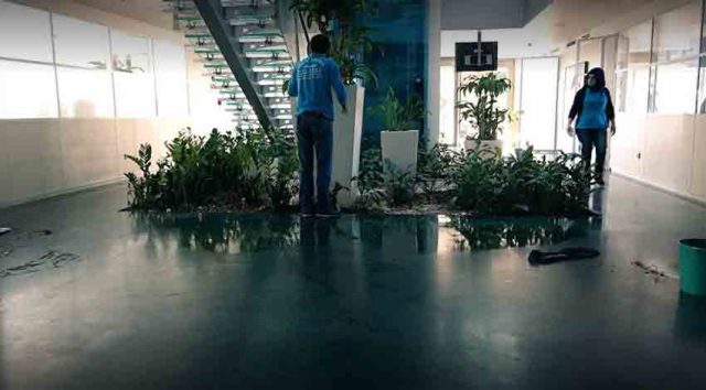 Firma Temizlik Hizmeti