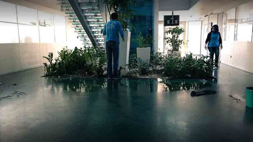 Firma Temizlik Hizmeti