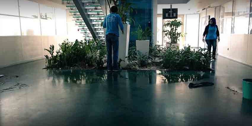 Firma Temizlik Hizmeti