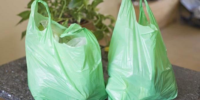 poşet kullanımı, poşet ve insan hayatı, poşetin zararları, naylon poşet, plastik poşet, poşet ve insan hayatı