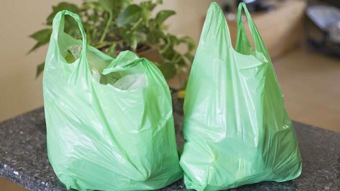 poşet kullanımı, poşet ve insan hayatı, poşetin zararları, naylon poşet, plastik poşet, poşet ve insan hayatı